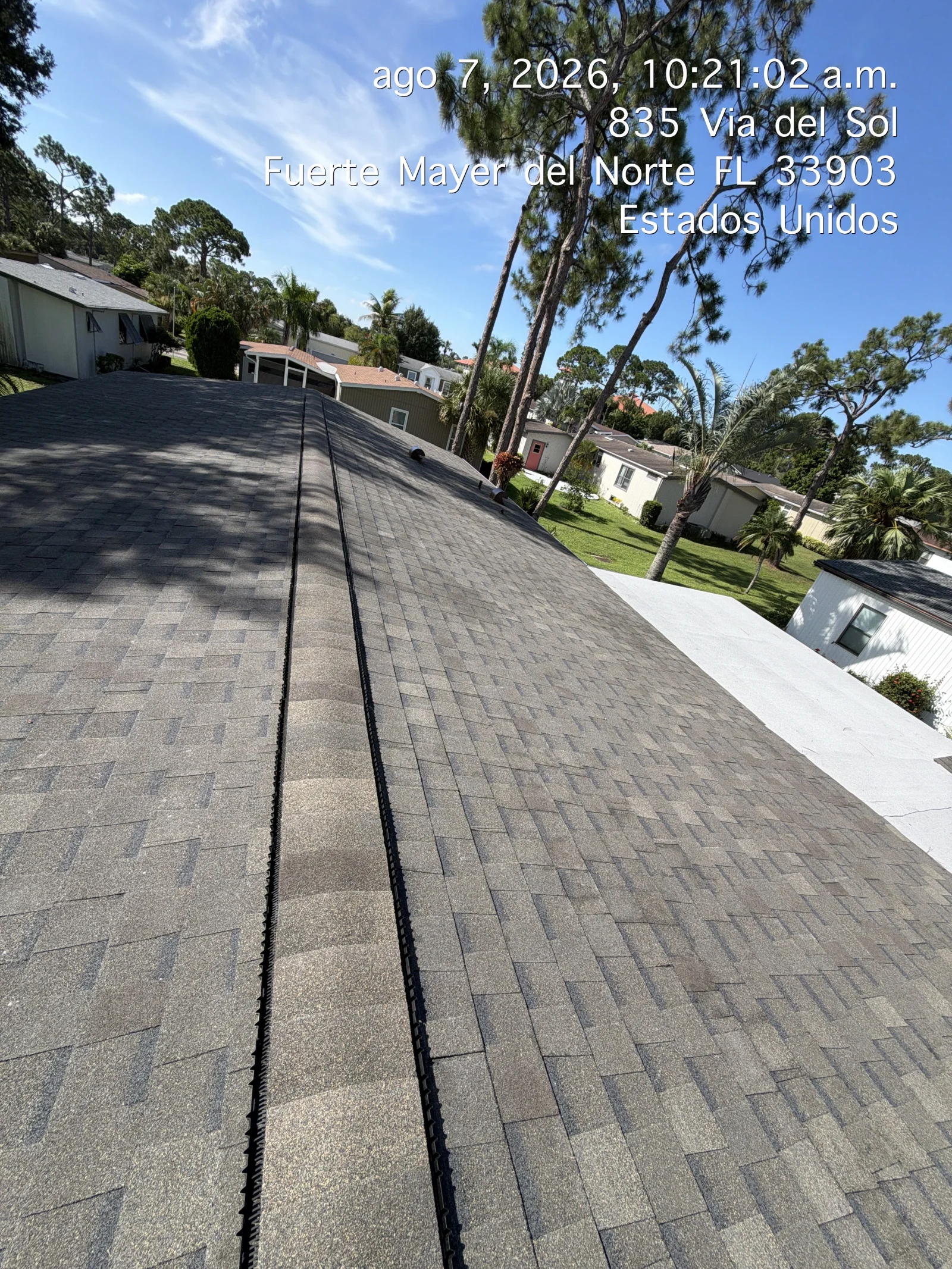 Asphalt shingle roof with black ridge vent and white fascia trim